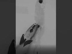 درزگیر سیلیکونی